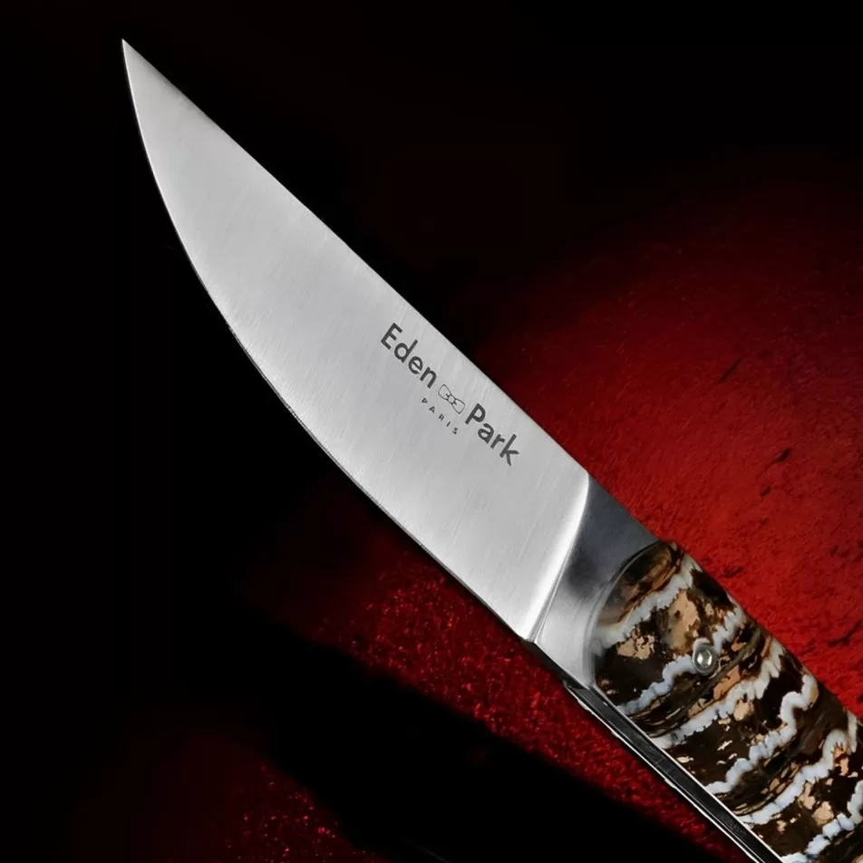 Art Of The Table | Eden Park Pocket Knife With Beige Mammoth Molar Handle